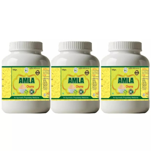 Health Made Amla Churna (100g, Pack of 3)