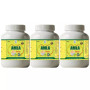 Health Made Amla Churna (100g, Pack of 3)