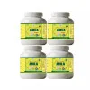 Health Made Amla Churna (100g, Pack of 4)