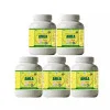 Health Made Amla Churna (100g, Pack of 5)