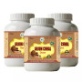 Health Made Arjun Chal Churna (100g, Pack of 3)