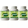 Health Made Ashwagandha Churna (100g, Pack of 3)
