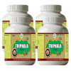 Health Made Triphala Churna (100g, Pack of 4)