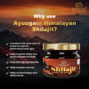 Ayuugain Shilajit Resin Himalayan Origin (30g)