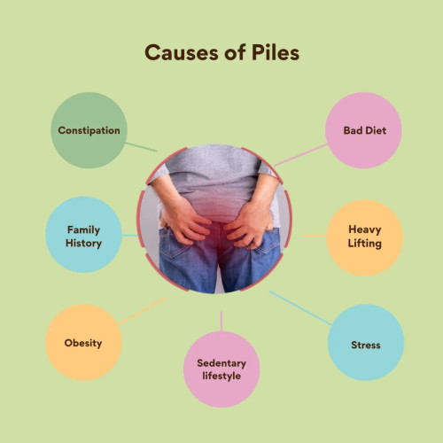 Arlak Biotech Piles Rest Cream (20g)