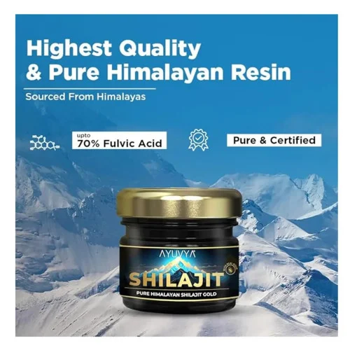 Ayuvya Shilajit Gold (20g)