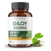 Ayuvya Giloy 500mg  Capsules (60cap)