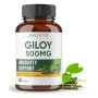 Ayuvya Giloy 500mg  Capsules (60cap)