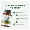 Ayuvya Giloy 500mg  Capsules (60cap)