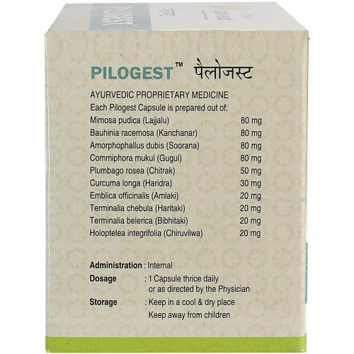 Kerala Ayurveda Pilogest  Capsulesule (100 Capsules)