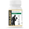 Shri Jwala Ayurved Bhawan Shilajeet  Capsules (525cap)