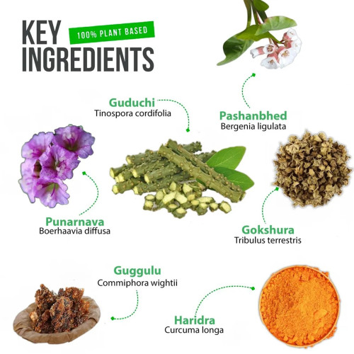 Eternal Life Ayurveda Stone Decom Powder (100g)