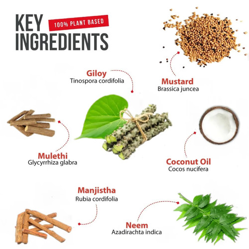 Eternal Life Ayurveda Eterno Piles Soothe Heal Prevent (30ml)