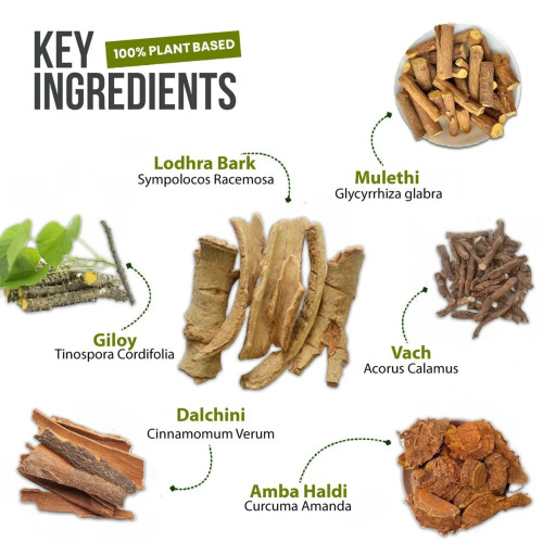 Eternal Life Ayurveda Oral Heal Dental Care (10ml)