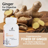 Eternal Life Ayurveda Ginger  Capsules Digestion Joint Health (60cap)