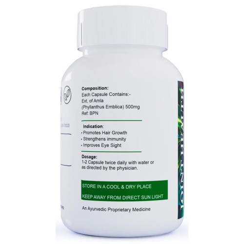 Eternal Life Ayurveda Amala  Capsules Boost Immunity (60cap)