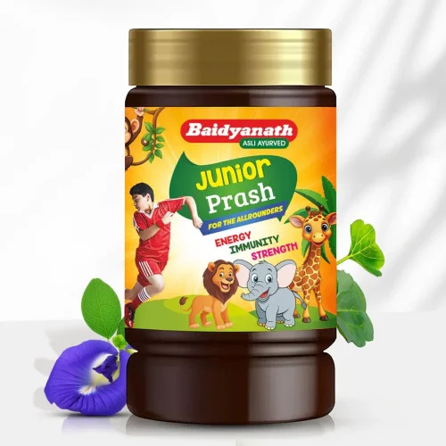 Baidyanath (Kolkata) Junior Prash (1kg)