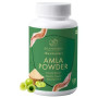 Go Ayurveda Dhanvantri Amla Powder (100g)