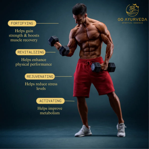 Go Ayurveda Dhanvantri Shilajit Gold  Capsules (60cap)