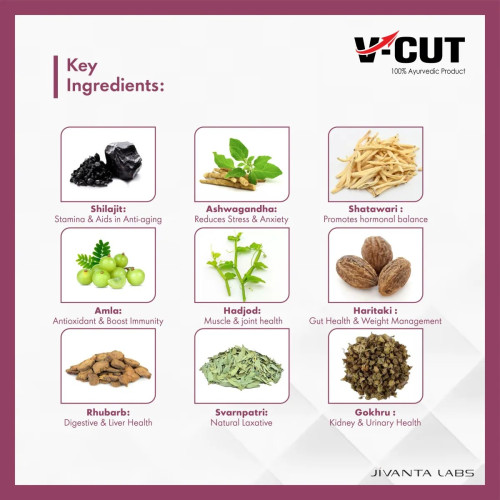 V-Cut Performance Women Body Booster (Each Sachet 5g) (15Sachet)