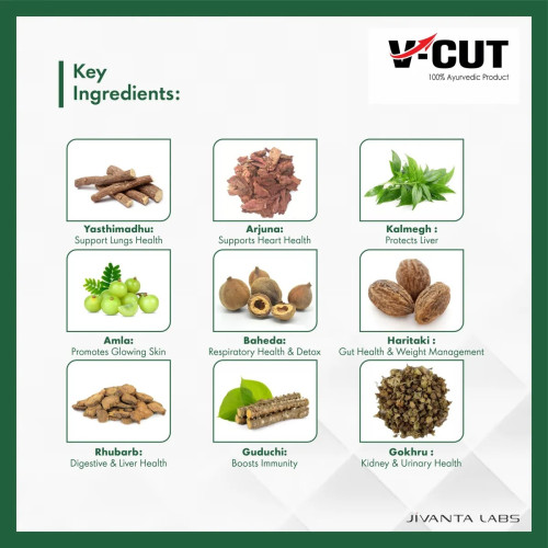 V-Cut Performance Body Detox Kit (Each Sachet 5g) (15Sachet)