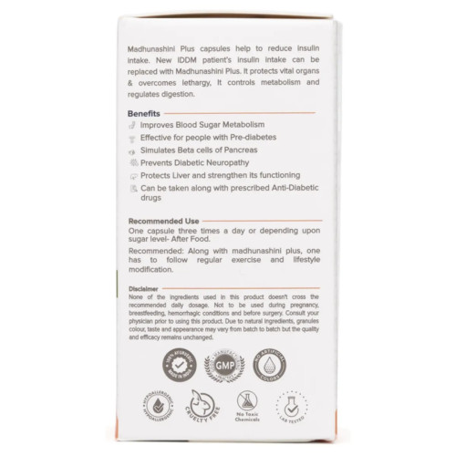 Vasishta Madhunashini Plus  Capsules (60cap)