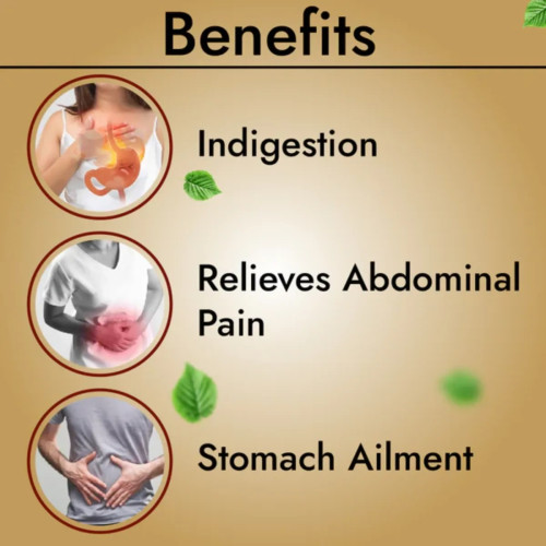 Cipzer Habb E Hilteet (100Pills, Pack of 2)