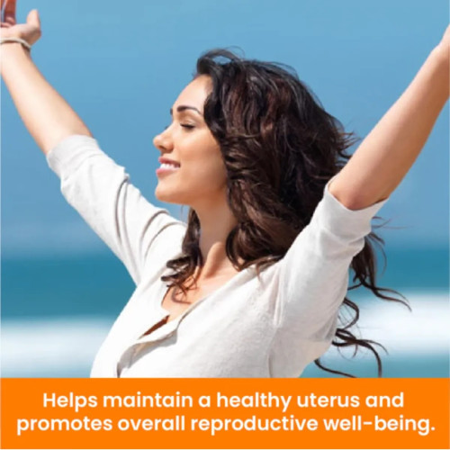 Cipzer Majoon E Hamal Ambari Alvi Khani (60g, Pack of 2)