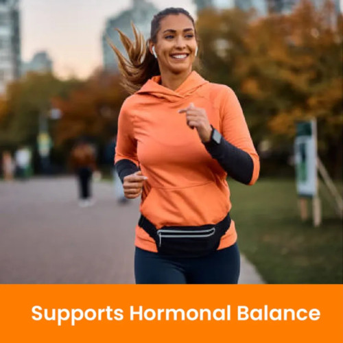 Cipzer Majoon E Hamal Ambari Alvi Khani (60g, Pack of 2)