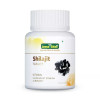Jeena Sikho Shilajit  Tablets (60 Tablets)