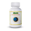 Jeena Sikho Spermosurge  Capsules (60 Tablets)