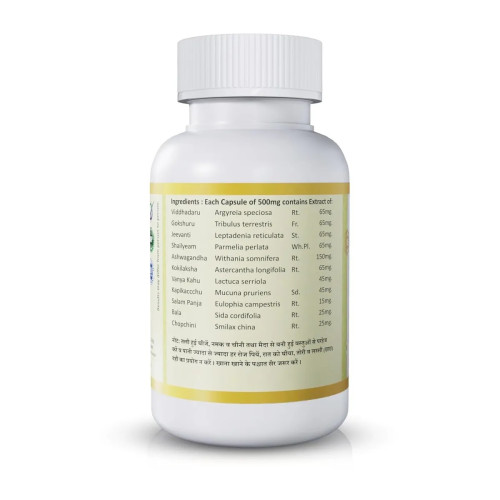 Jeena Sikho Spermosurge  Capsules (60 Tablets)