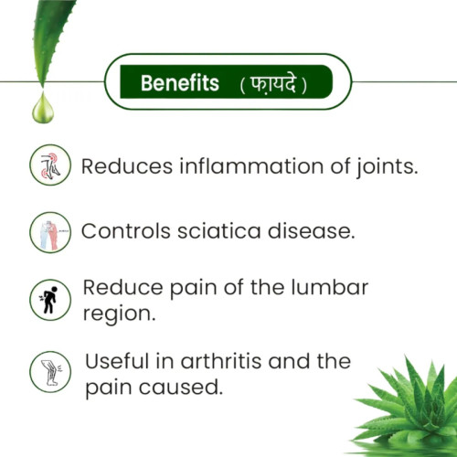 Cipzer Halwa Gheekwar (250g, Pack of 2)