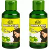 Cipzer Raughan E Aamla Hair Oil (100ml, Pack of 2)