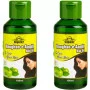 Cipzer Raughan E Aamla Hair Oil (100ml, Pack of 2)