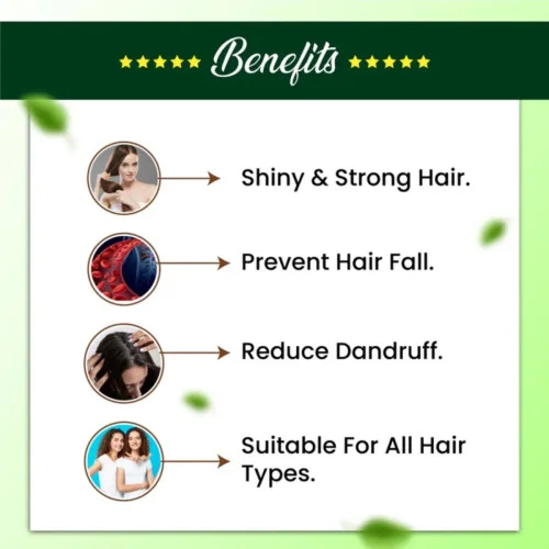 Cipzer Raughan E Aamla Hair Oil (100ml, Pack of 2)