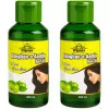 Cipzer Raughan E Aamla Hair Oil (200ml, Pack of 2)
