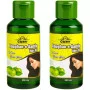Cipzer Raughan E Aamla Hair Oil (200ml, Pack of 2)