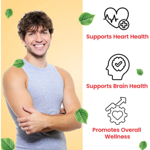 Cipzer Sharbat Abresham Sada (200ml, Pack of 2)