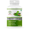 Zenius Neem Giloy Tulsi  Tablets (60 Tablets)