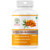Zenius Seabuckthorn  Tablets (60 Tablets)