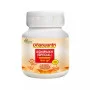 Dhanwantri Pharmaceuticals Agnimukh Churna (50g)