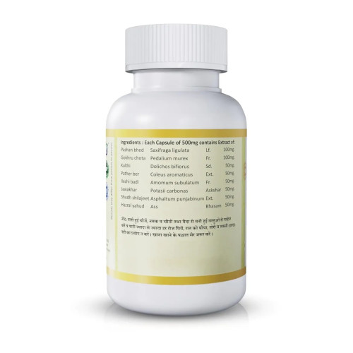 Jeena Sikho Stoni  Capsules (60cap)