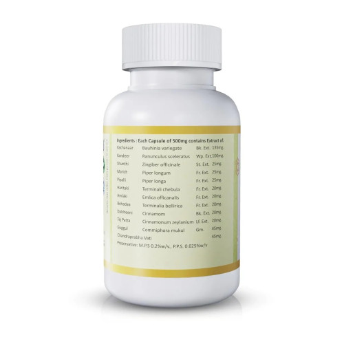 Jeena Sikho Varix  Capsules (60cap)