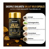 Sheopals Shelavista Shilajit Gold  Capsules (30cap, Pack of 2)