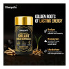 Sheopals Shelavista Shilajit Gold  Capsules (30cap, Pack of 2)