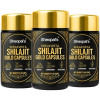 Sheopals Shelavista Shilajit Gold  Capsules (60cap, Pack of 3)