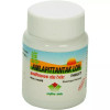 Nagarjun Amlapittantak Loh (60 Tablets)