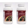 Tansukh Ajmodadi Churna (100g, Pack of 2)