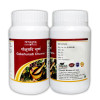Tansukh Gokshuradi Churna (100g, Pack of 2)